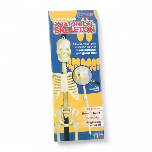 Build Your Own Anatomical Skeleton 16 Pieces Build Your Own Anatomical Skeleton 16 Pieces