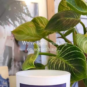 Our Father's Day range is landing very soon & it's looking very gift-worthy.  Stay tuned it's nearly here π
#giftsforguys #perthgiftshop #perthbusiness #giftsaustralia #gifthampers