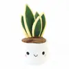 Boballs Cute Potplant Various 12cm thumbnail