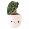 2. Boballs Cute Potplant Various 12cm thumbnail