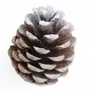 Christmas Pine Cones - Vanilla thumbnail