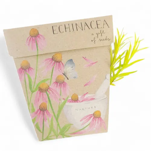 Sow n Sow Echinacea Gift of Seeds