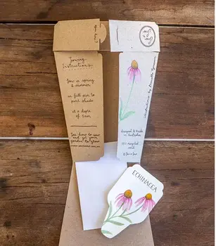 2. Sow n Sow Echinacea Gift of Seeds thumbnail