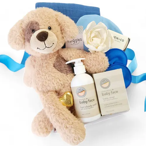 Twiggie Baby Gift Box - Blue