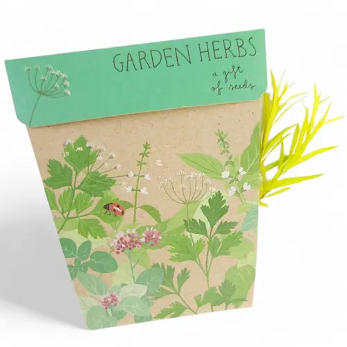 Sow n Sow - Garden Herbs