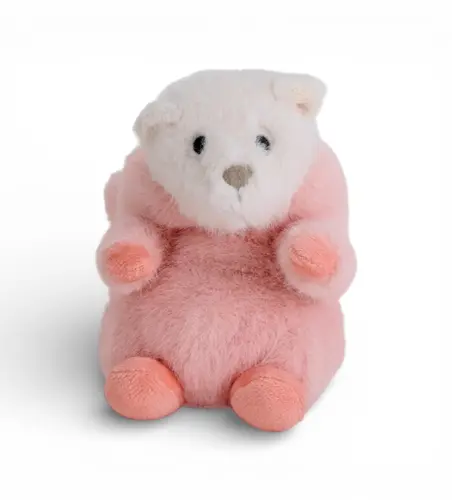 3. Plush Bunny Bear thumbnail