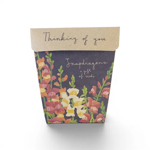 Sow n Sow 'Thinking of You' Seeds Sow n Sow 'Thinking of You' Seeds